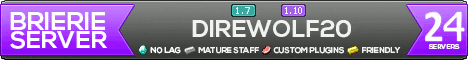 Brierie Server Network banner