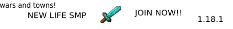 New life SMP banner