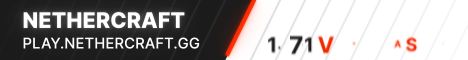 NetherCraft banner